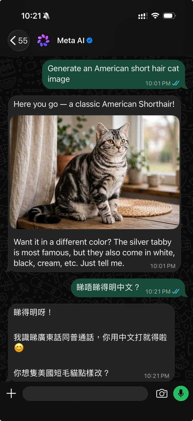 Meta AI generating an American Shorthair cat image in WhatsApp, then being asked in Cantonese if it can understand Chinese